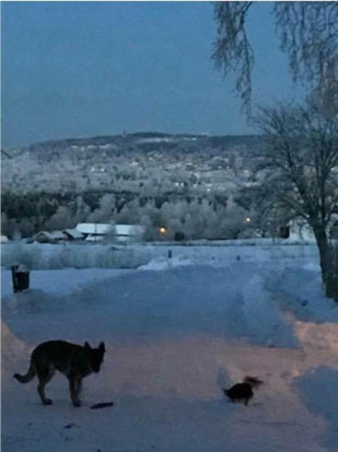 Det Gamla Panget Villa Tällberg Exterior foto