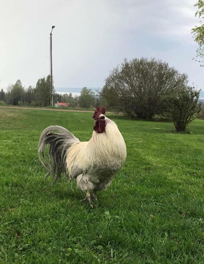 Det Gamla Panget Villa Tällberg Exterior foto