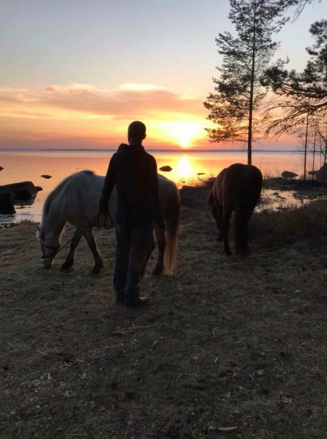 Det Gamla Panget Villa Tällberg Exterior foto